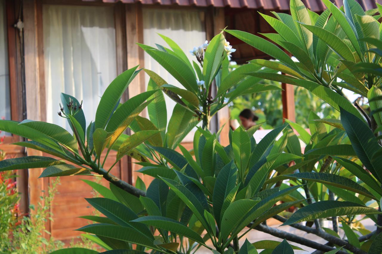 The Somayan Bungalows Batununggul Εξωτερικό φωτογραφία